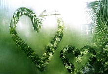 体育赛事冲刺阶段夏洛特黄蜂回应争议——英超节点到来，球迷炸锅，细节决定成败的简单介绍